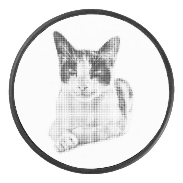 Calico Cat Comic Halftone (Devant)