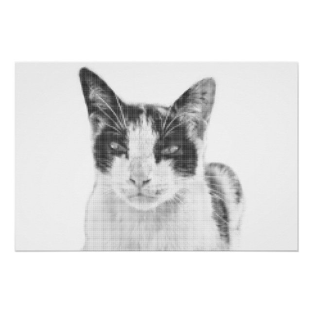 Calico Cat Comic Halftone Poster (Front)