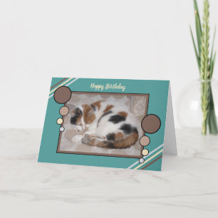 Calico cat curled up asleep photo brown turquoise card