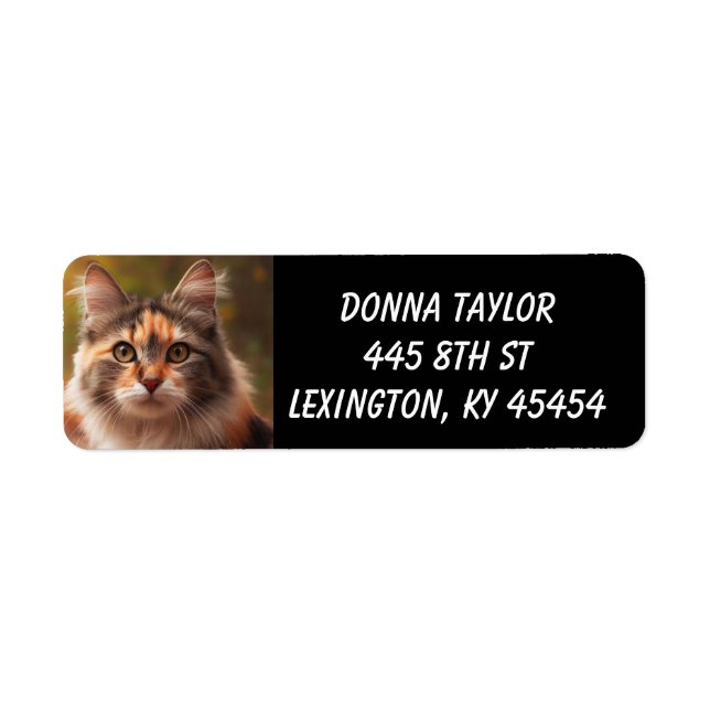CALICO CAT CUTE RETURN ADDRESS LABELS (Front)