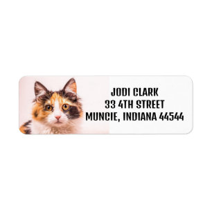CALICO CAT CUTE RETURN ADDRESS LABELS