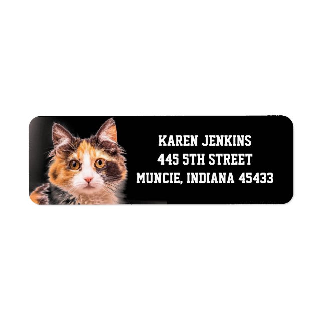 CALICO CAT CUTE RETURN ADDRESS LABELS (Front)