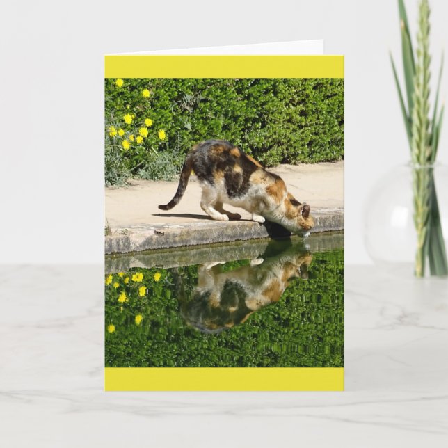 Calico Cat Drinking Water Card (Front)