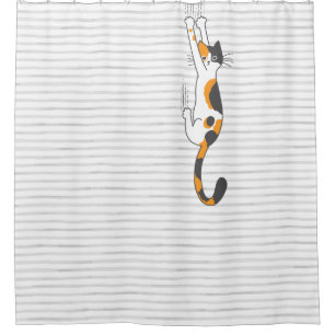 Calico Cat Hanging On   Funny Cat Lover's