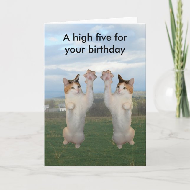 Calico Cat High Five Card (Front)