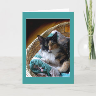 Calico cat in a basket greeting or note card