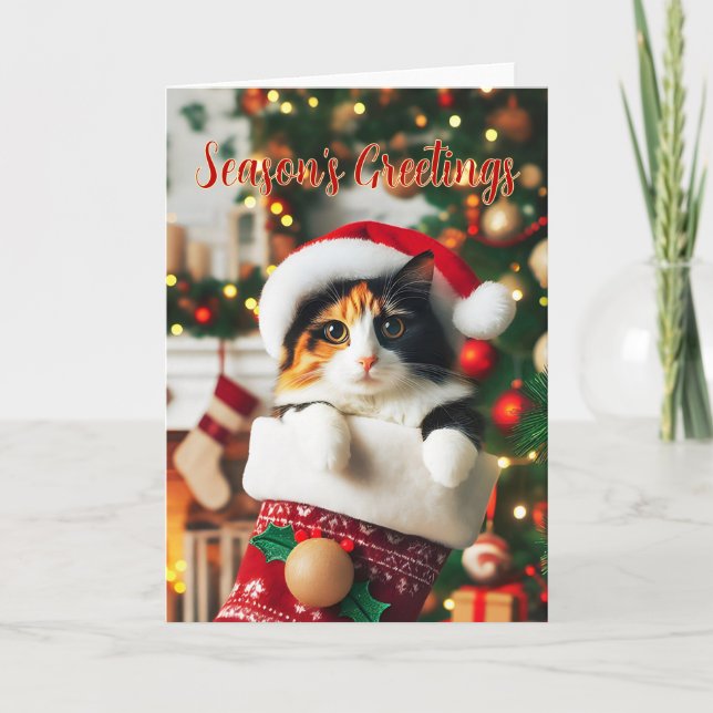 Calico Cat in a Christmas Stocking Card (Front)