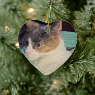 Calico Cat in Cat Bed Ceramic Ornament