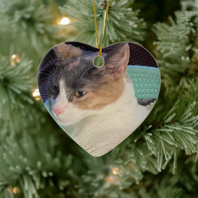 Calico Cat in Cat Bed Ceramic Ornament (Tree)