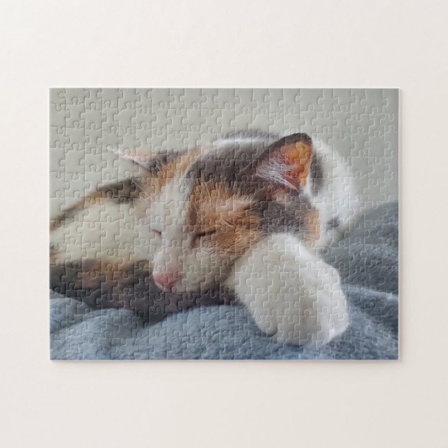 Calico Cat  Jigsaw Puzzle (Horizontal)