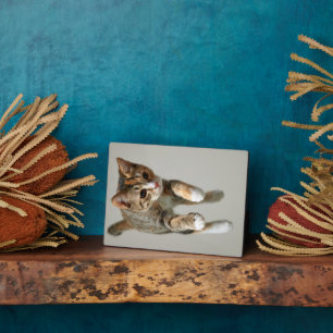 Calico Cat Jumping Plaque