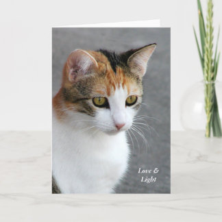 Calico Cat Love & Light Card