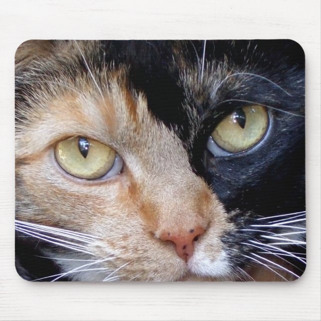 Calico cat mousepad (Front)