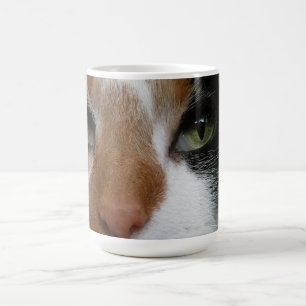 Calico cat mug