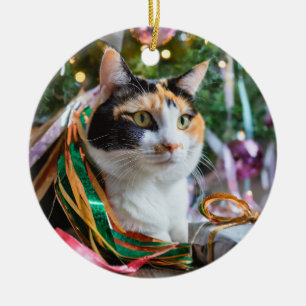 Calico Cat on a Holiday Ornament 