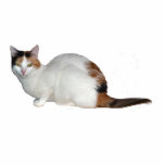 Calico Cat Photo Sculpture Keychain<br><div class="desc">A 3D keychain of a calico cat</div>