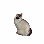 Calico Cat Photo Sculpture Keychain<br><div class="desc">This calico cat makes a cute acrylic cutout keychain</div>