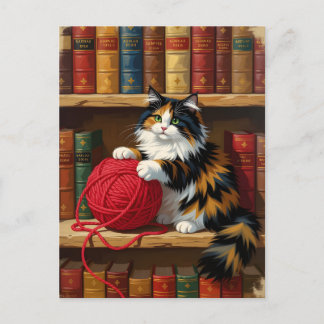 Calico Cat Playing With Yarn On A Bookshelf  Postcard