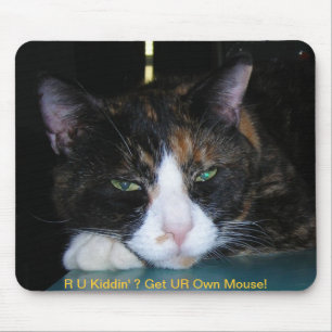 Calico Cat, R U Kiddin' ? Mousepad