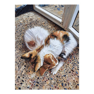 Calico Cat Relaxing Peacefully on Textured ground Photo Print