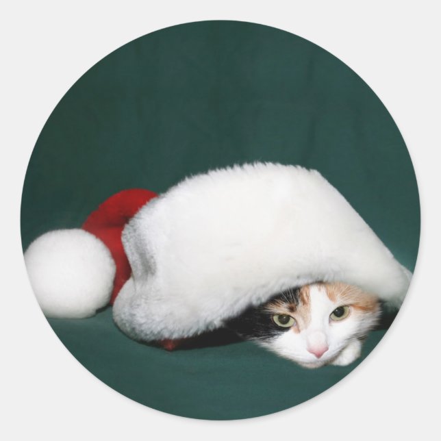 Calico cat Santa sticker (Front)