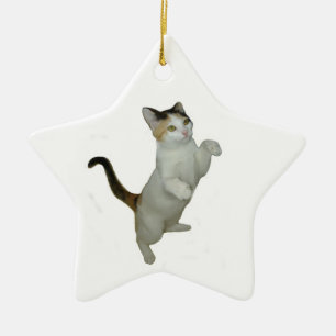 Calico Cat S'Asseoir Ornement