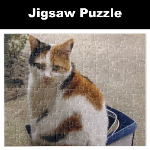 Calico cat sitting in a box in the garden jigsaw puzzle