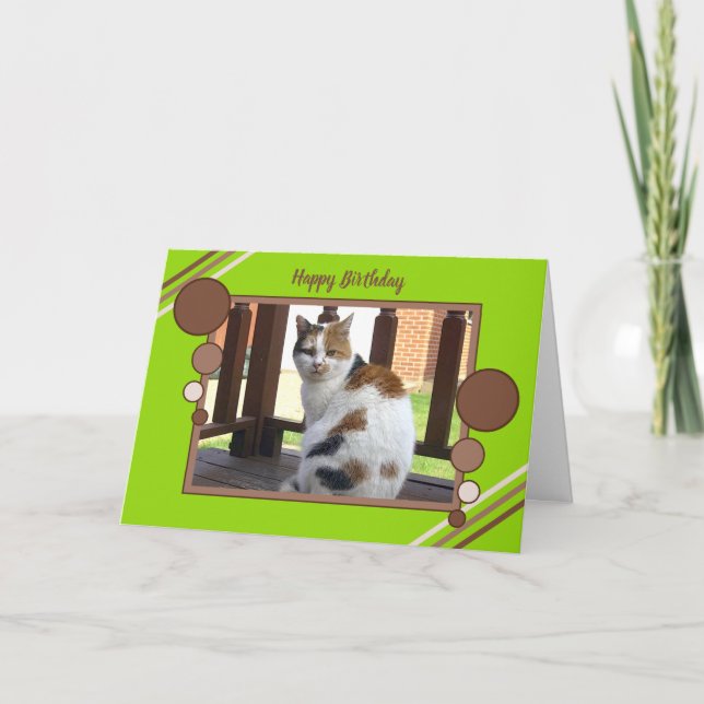 Calico cat sitting photo green brown card (Front)