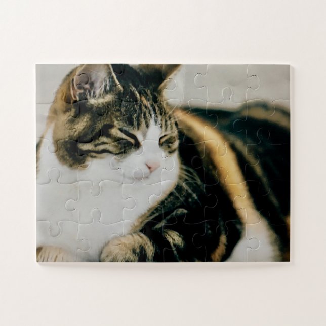Calico Cat Sleeping Calm Puzzle Cat Lover (Horizontal)