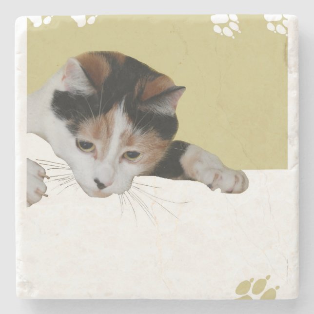 Calico Cat Stone Coaster (Front)