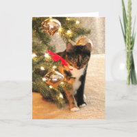 Calico Cat Under the Christmas Tree, blank inside