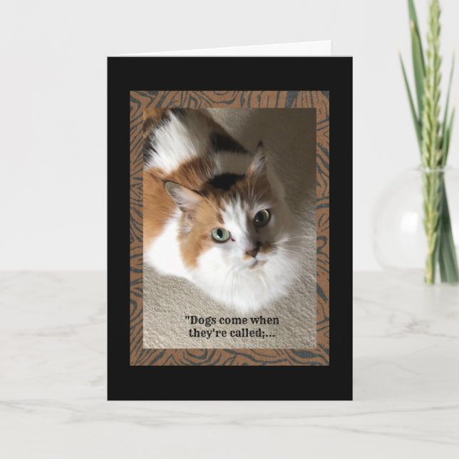 Calico Cat with humour Card (Front)