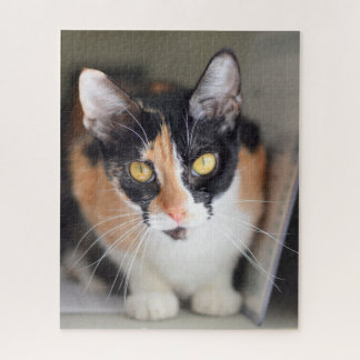 Calico Cat with Yellow Eyes Jigsaw Puzzle