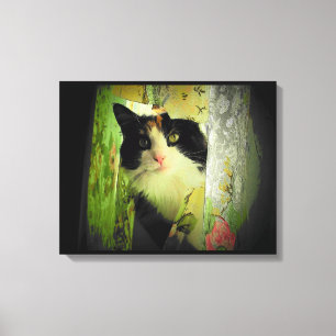 Calico Curtain Cat Canvas Print