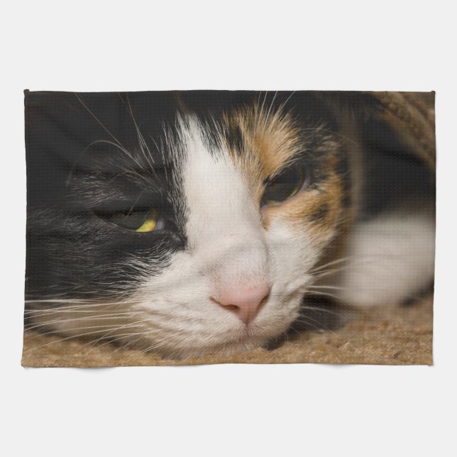 Calico Face Kitchen Towel (Horizontal)