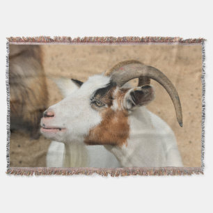 Calico goat throw blanket
