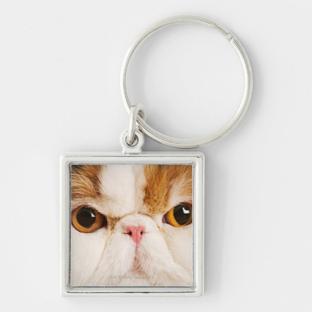 Calico Harlequin Persian Keychain (Front)