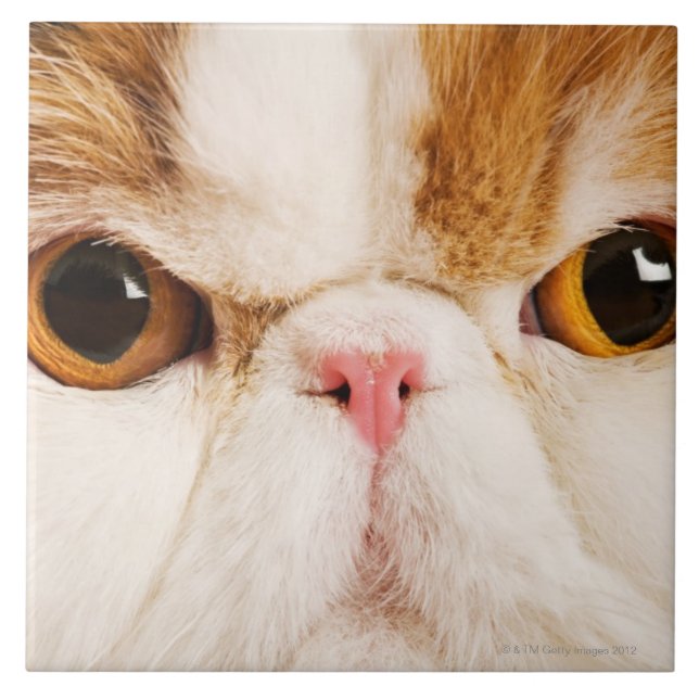 Calico Harlequin Persian Tile (Front)