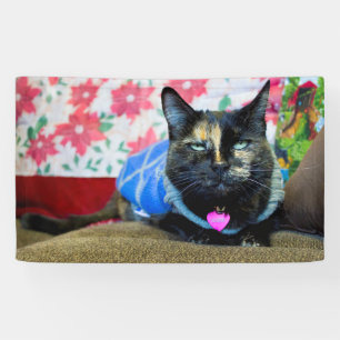 Calico I Banner
