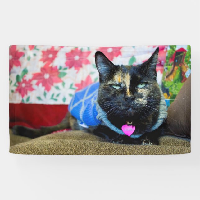 Calico I Banner (Horizontal)