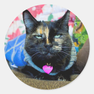 Calico I Classic Round Sticker