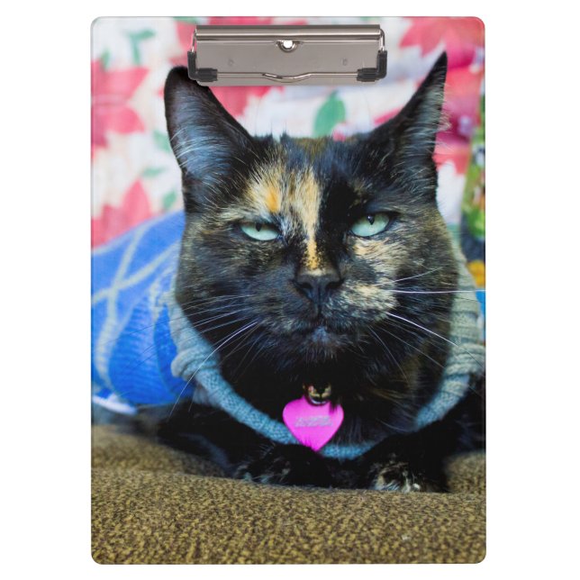Calico I Clipboard (Front)