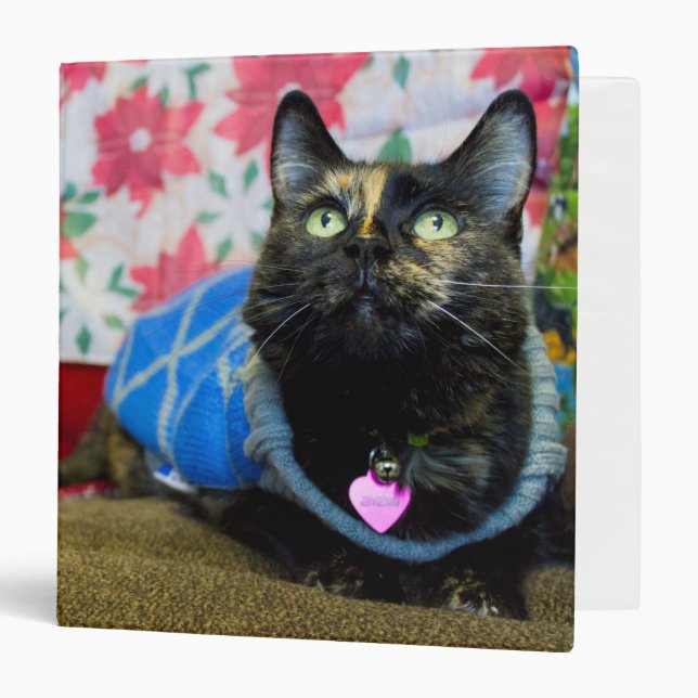 Calico II Binder (Front/Inside)