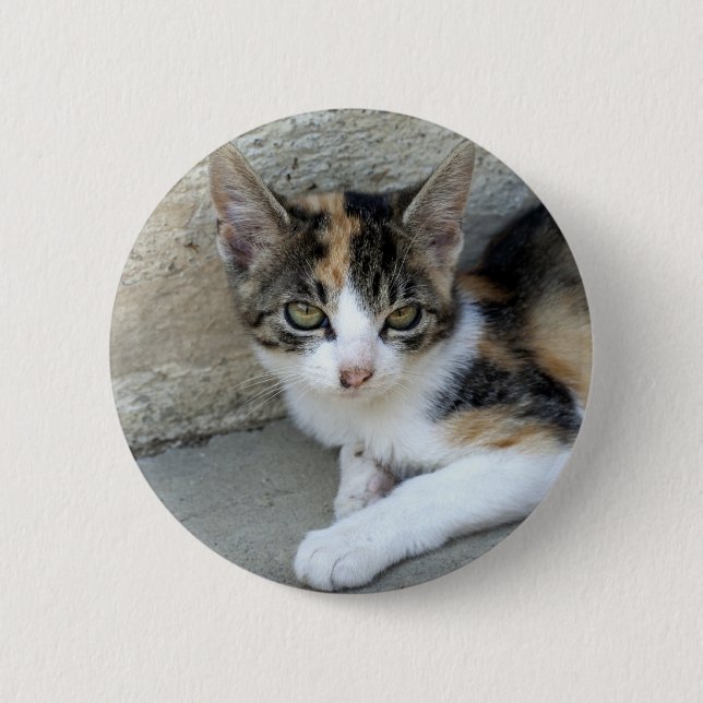 Calico Kitten 2 Inch Round Button (Front)