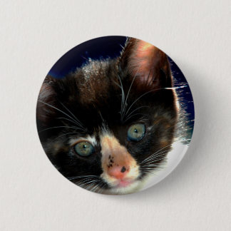 Calico Kitten Button