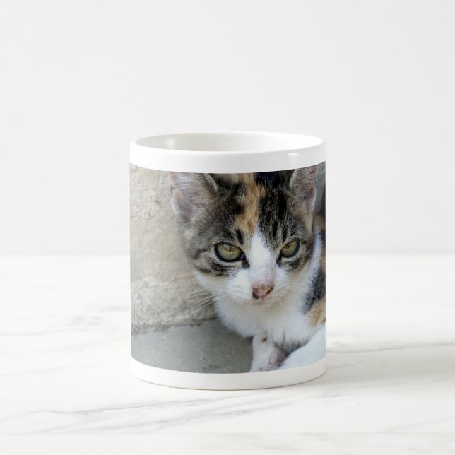 Calico Kitten Coffee Mug (Center)