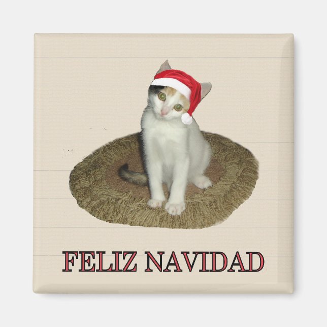 Calico Kitten Feliz Navidad Magnet (Front)
