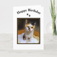 Calico Kitten Happy Birthday