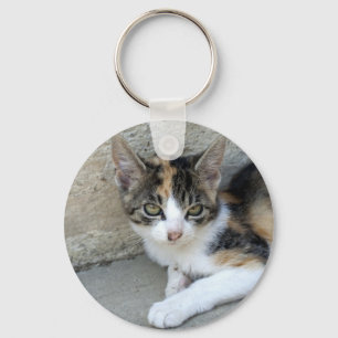 Calico Kitten Keychain