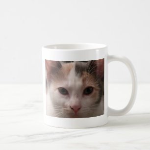 Calico kitten mug